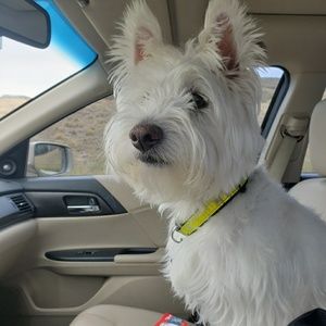 Meet your Posher, Sally